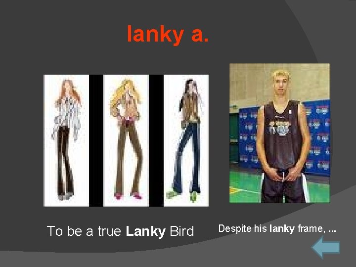 lanky a. To be a true Lanky Bird Despite his lanky frame, . .