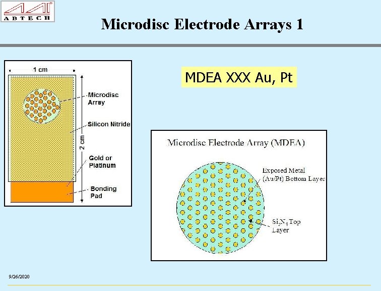 Microdisc Electrode Arrays 1 MDEA XXX Au, Pt 9/26/2020 