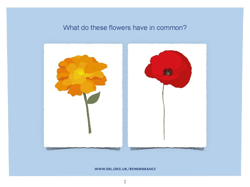 What do these flowers have in common? 2 