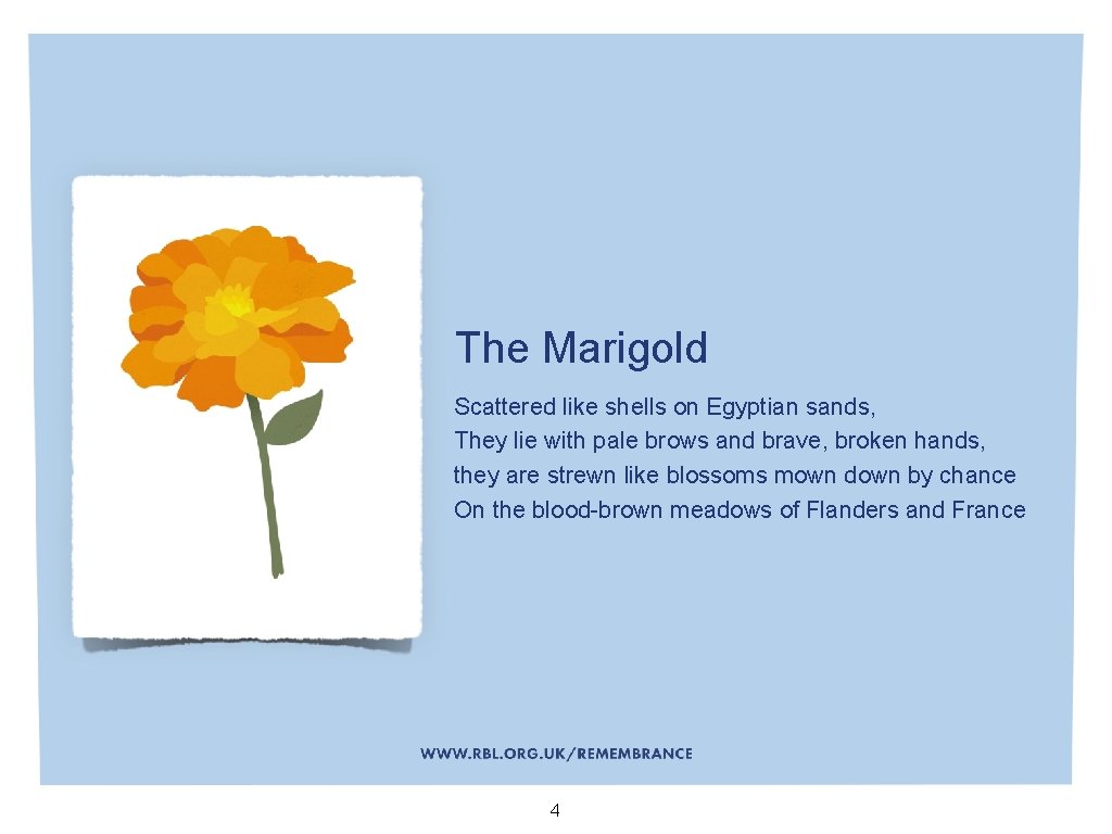 The Marigold Scattered like shells on Egyptian sands, They lie with pale brows and