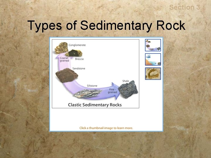 Rocks Section 3 Types of Sedimentary Rock 