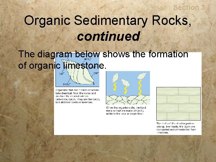 Rocks Section 3 Organic Sedimentary Rocks, continued The diagram below shows the formation of