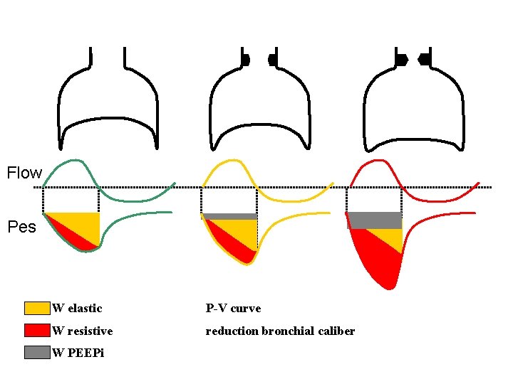 Flow Pes W elastic P-V curve W resistive reduction bronchial caliber W PEEPi 