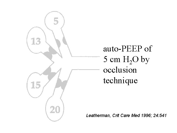 auto-PEEP of 5 cm H 2 O by occlusion technique Leatherman, Crit Care Med