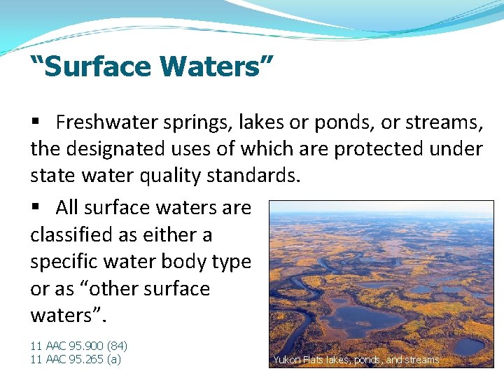 “Surface Waters” § Freshwater springs, lakes or ponds, or streams, the designated uses of