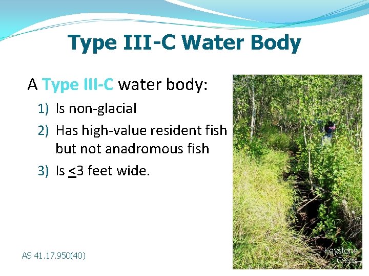 Type III-C Water Body A Type III-C water body: 1) Is non-glacial 2) Has