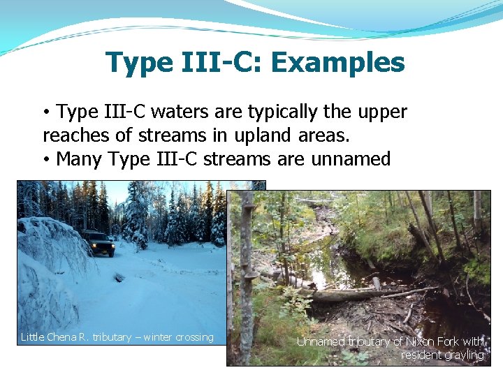 Type III-C: Examples • Type III-C waters are typically the upper reaches of streams