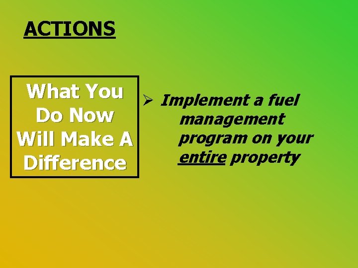 ACTIONS What You Ø Implement a fuel Do Now management program on your Will