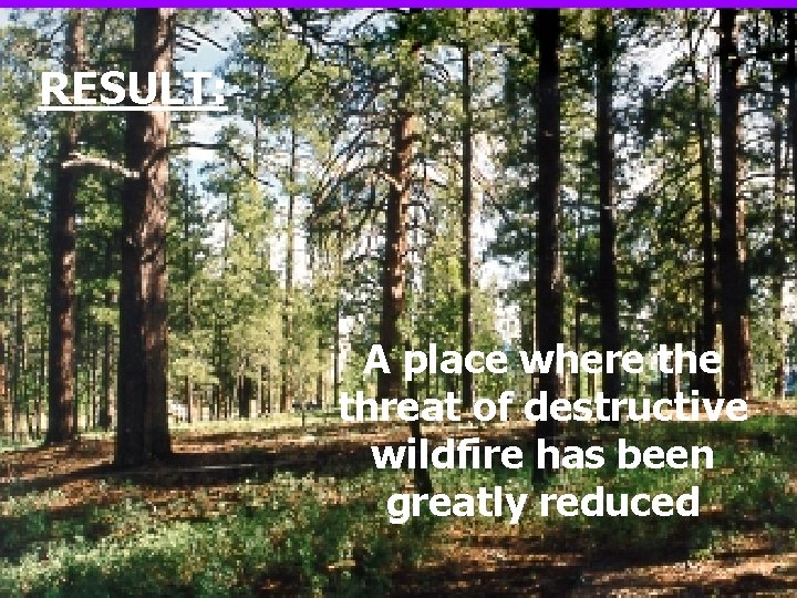 RESULT: A place where threat of destructive wildfire has been greatly reduced 