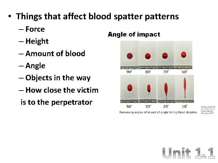  • Things that affect blood spatterns – Force – Height – Amount of