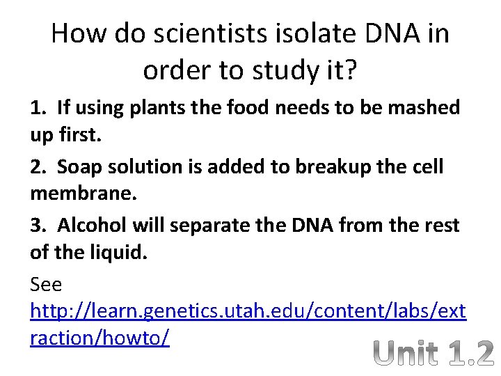 How do scientists isolate DNA in order to study it? 1. If using plants