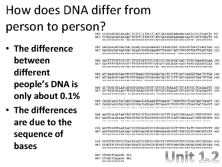 How does DNA differ from person to person? • The difference between different people’s