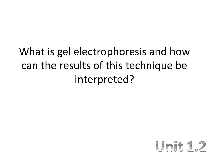 What is gel electrophoresis and how can the results of this technique be interpreted?