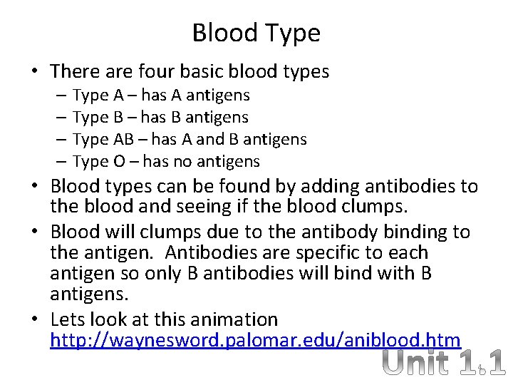 Blood Type • There are four basic blood types – Type A – has