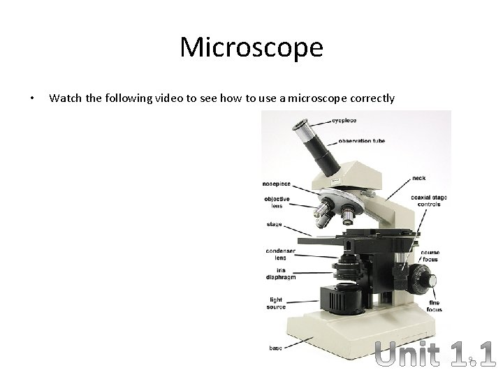 Microscope • Watch the following video to see how to use a microscope correctly