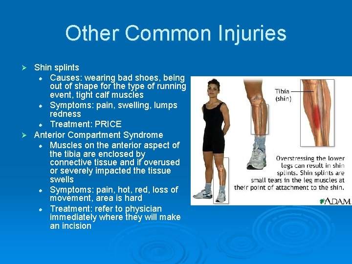 Other Common Injuries Shin splints l Causes: wearing bad shoes, being out of shape