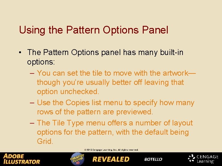 Using the Pattern Options Panel • The Pattern Options panel has many built-in options: