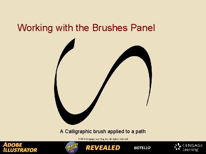 Working with the Brushes Panel A Calligraphic brush applied to a path 