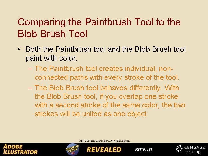 Comparing the Paintbrush Tool to the Blob Brush Tool • Both the Paintbrush tool