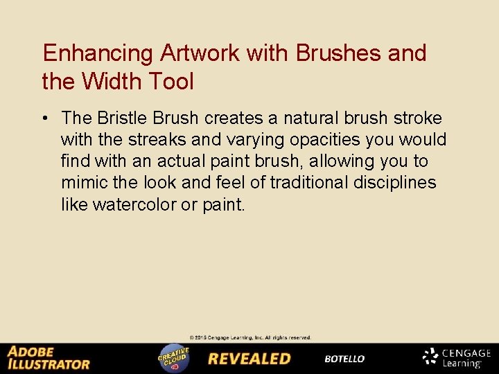 Enhancing Artwork with Brushes and the Width Tool • The Bristle Brush creates a