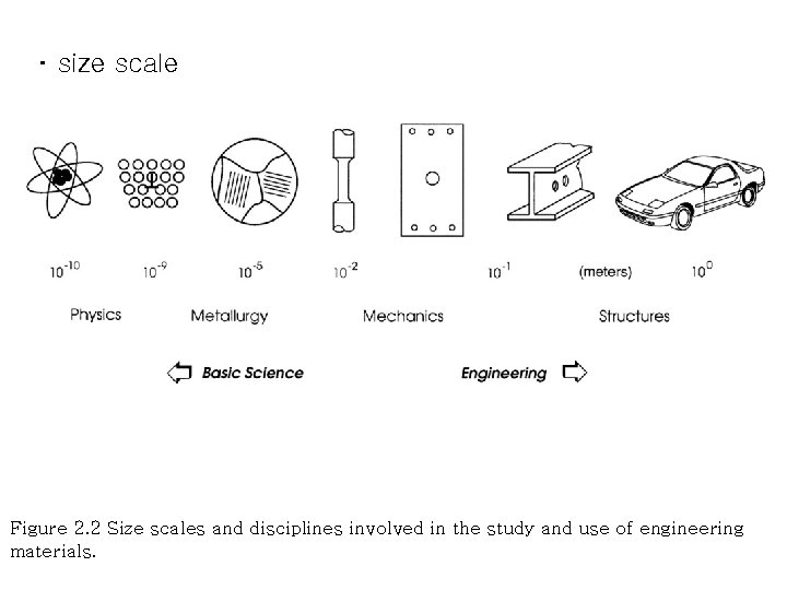 ･ size scale Figure 2. 2 Size scales and disciplines involved in the study