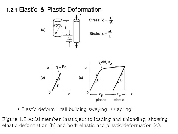 1. 2. 1 Elastic ＆ Plastic Deformation • Elastic deform – tall building swaying