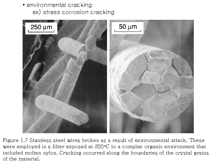  • environmental cracking ex) stress corrosion cracking Figure 1. 7 Stainless steel wires