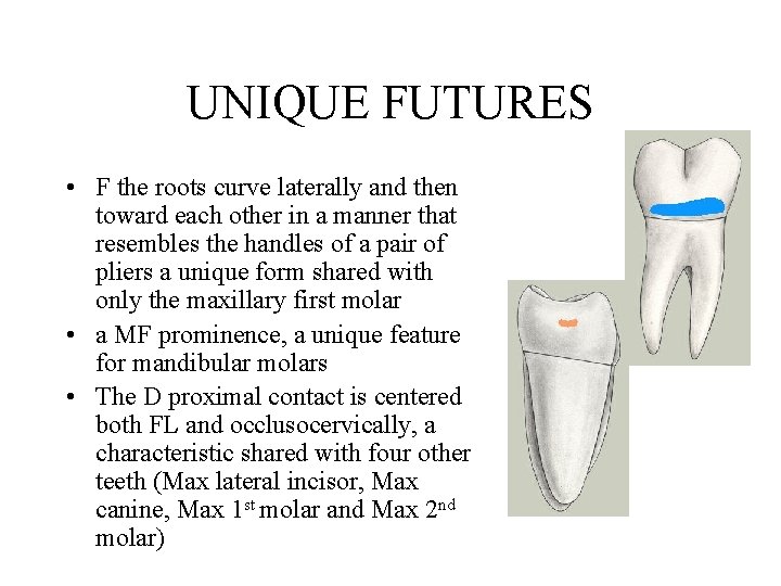 UNIQUE FUTURES • F the roots curve laterally and then toward each other in