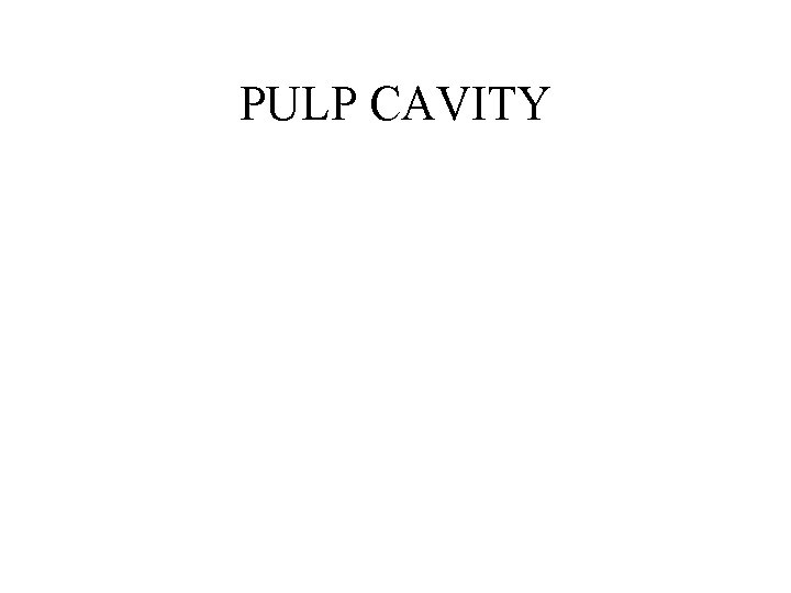 PULP CAVITY 