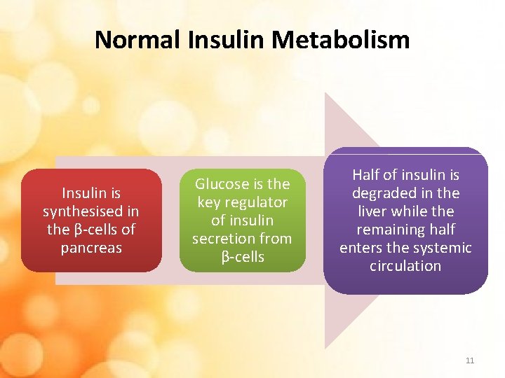 Normal Insulin Metabolism Insulin is synthesised in the β-cells of pancreas Glucose is the