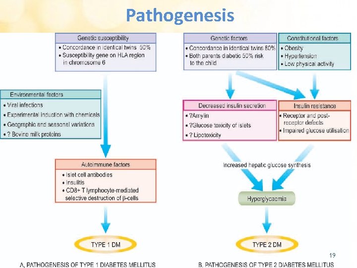Pathogenesis 19 