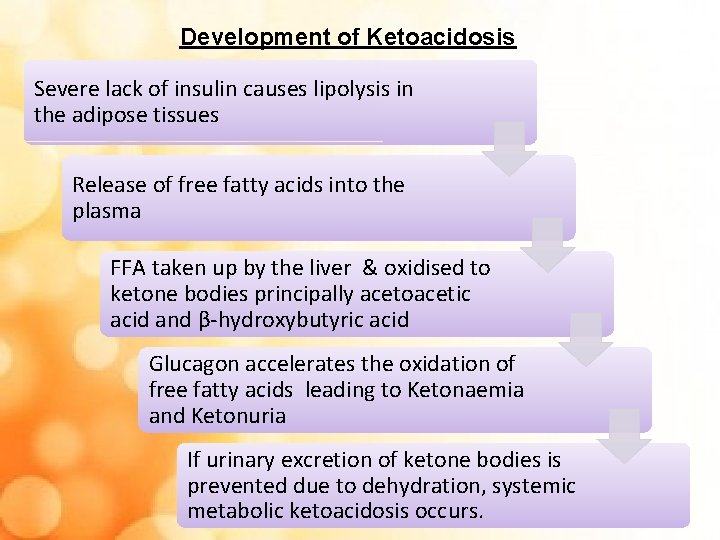 Development of Ketoacidosis Severe lack of insulin causes lipolysis in the adipose tissues Release