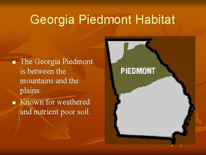 Georgia Piedmont Habitat n n The Georgia Piedmont is between the mountains and the