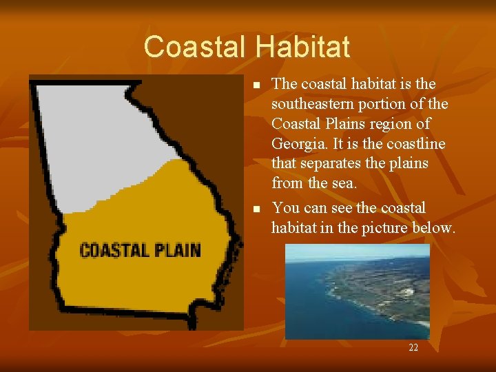 Coastal Habitat n n The coastal habitat is the southeastern portion of the Coastal