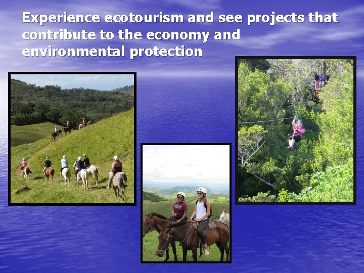 Experience ecotourism and see projects that contribute to the economy and environmental protection 