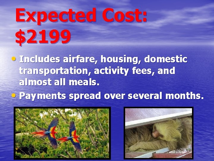 Expected Cost: $2199 • Includes airfare, housing, domestic transportation, activity fees, and almost all