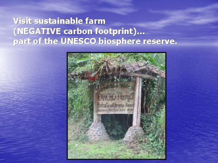 Visit sustainable farm (NEGATIVE carbon footprint)… part of the UNESCO biosphere reserve. 