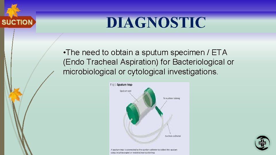 SUCTION DIAGNOSTIC • The need to obtain a sputum specimen / ETA (Endo Tracheal