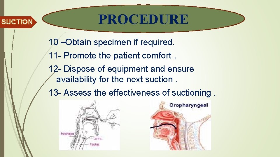  SUCTION PROCEDURE 10 –Obtain specimen if required. 11 - Promote the patient comfort.