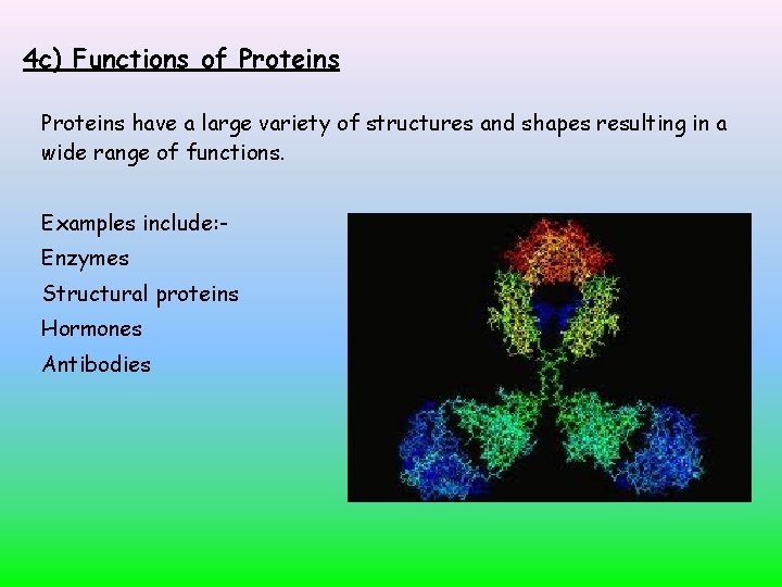 4 c) Functions of Proteins have a large variety of structures and shapes resulting