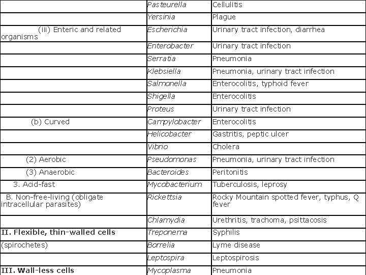  Pasteurella Cellulitis Yersinia Plague (iii) Enteric and related organisms Escherichia Urinary tract infection,
