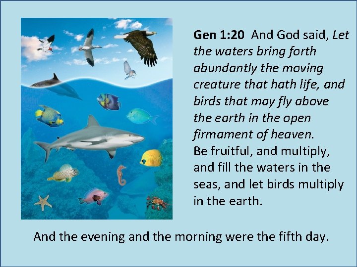 Gen 1: 20 And God said, Let the waters bring forth abundantly the moving
