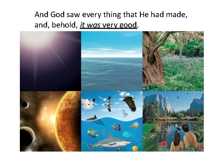 And God saw every thing that He had made, and, behold, it was very