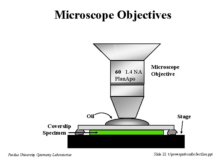 Microscope Objectives 60 1. 4 NA Plan. Apo Oil Microscope Objective Stage Coverslip Specimen