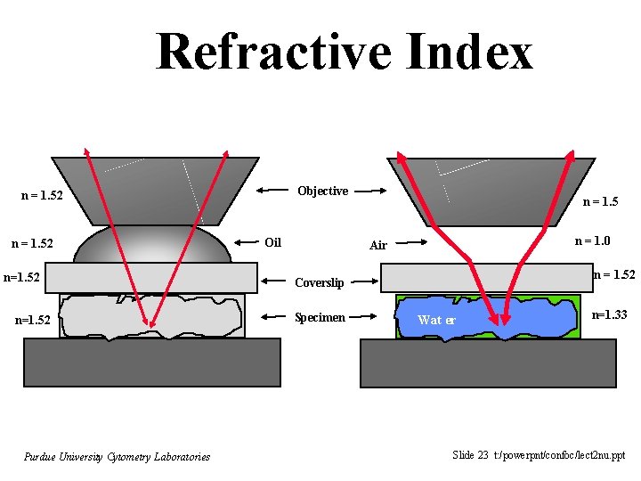 Refractive Index Objective n = 1. 52 n=1. 52 Purdue University Cytometry Laboratories Oil