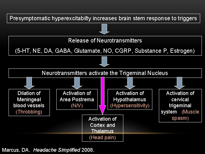Presymptomatic hyperexcitabilty increases brain stem response to triggers Release of Neurotransmitters (5 -HT, NE,
