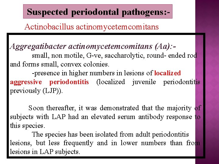 Suspected periodontal pathogens: Actinobacillus actinomycetemcomitans Aggregatibacter actinomycetemcomitans (Aa): small, non motile, G-ve, saccharolytic, round-