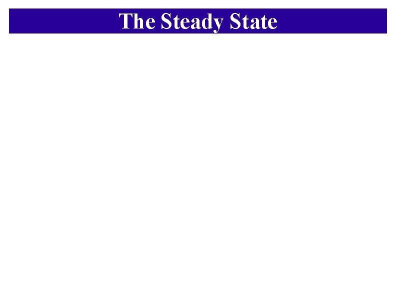 The Steady State 