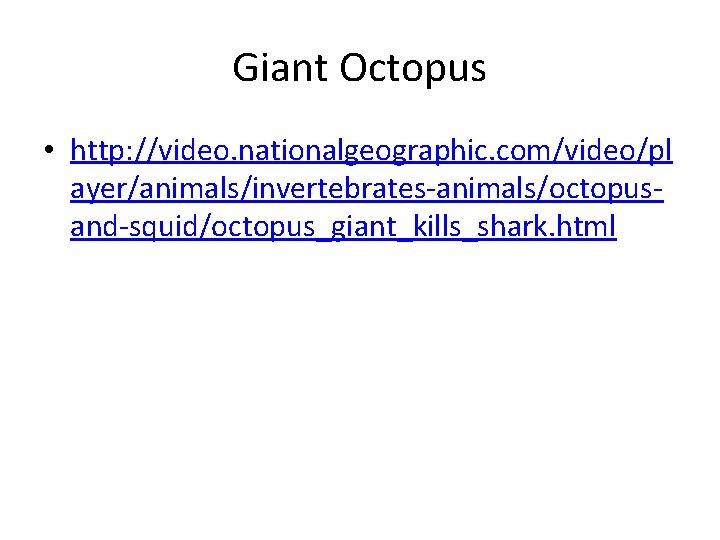 Giant Octopus • http: //video. nationalgeographic. com/video/pl ayer/animals/invertebrates-animals/octopusand-squid/octopus_giant_kills_shark. html 