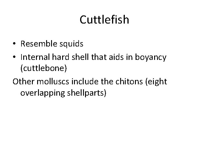 Cuttlefish • Resemble squids • Internal hard shell that aids in boyancy (cuttlebone) Other
